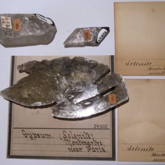 Minerals of the Philadelphia Academy of Sciences