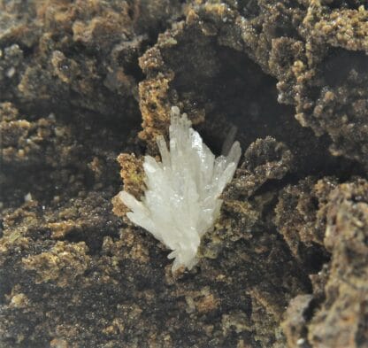 Hémimorphite et Willemite, carrière du Rivet, Peyrebrune, Tarn.