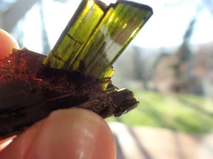 Epidote de la Knappenwand, Hohe Tauern, Salzburg en Autriche.