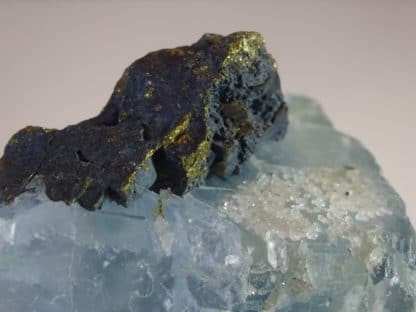 Chalcopyrite et quartz, sur fluorine bleue, Le Burg, Tarn. (81)