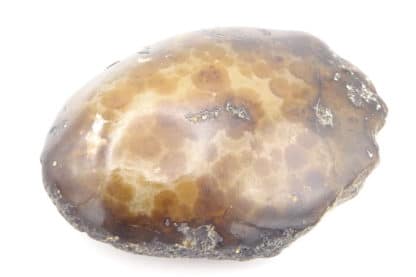 Agate Sardoine (polie), Idar-Oberstein, Birkenfeld, Allemagne.