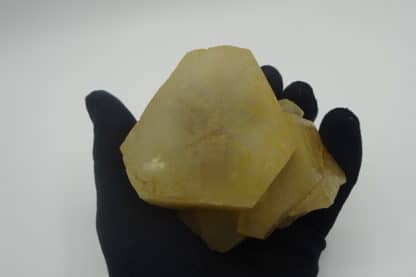 Calcite de la Sambre, Landelies, Hainaut, Belgique.