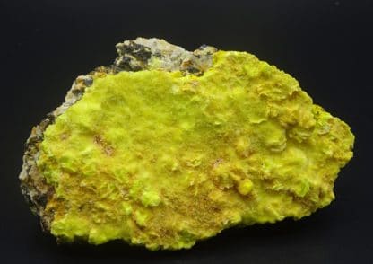 Sabugalite sur Phosphuranylite, mine de Margnac, Haute-Vienne (Limousin).