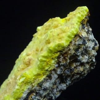 Sabugalite sur Phosphuranylite, mine de Margnac, Haute-Vienne (Limousin).