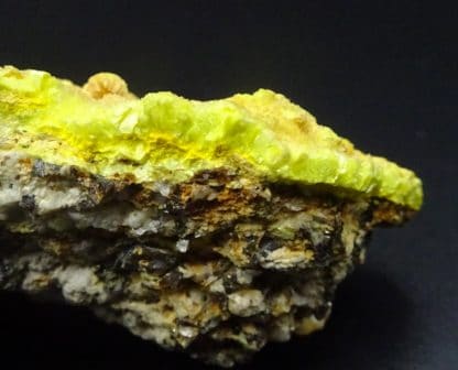 Sabugalite sur Phosphuranylite, mine de Margnac, Haute-Vienne (Limousin).