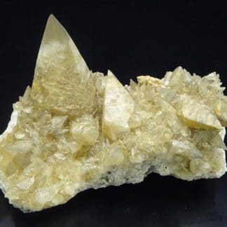 Calcite en scalénoèdres, Loverval, Couillet, Belgique.