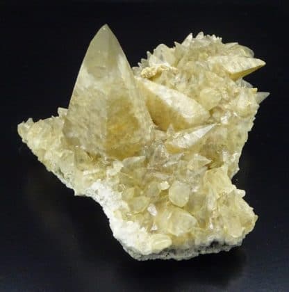 Calcite en scalénoèdres, Loverval, Couillet, Belgique.