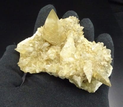 Calcite en scalénoèdres, Loverval, Couillet, Belgique.