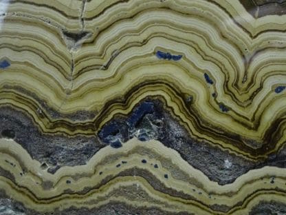 Schalendlende, tranche polie, Vieille Montagne, Lontzen, Belgique.