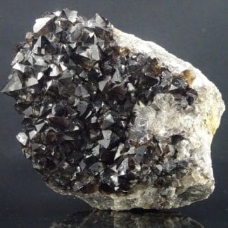 Quartz morion, Richelle, Visé, Liège, Wallonie, Belgique.