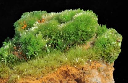 Pyromorphite aciculaire, Saint-Salvy, Tarn.