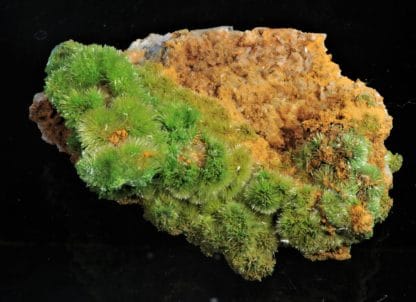 Pyromorphite aciculaire, Saint-Salvy, Tarn.