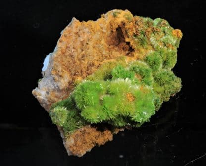 Pyromorphite aciculaire, Saint-Salvy, Tarn.