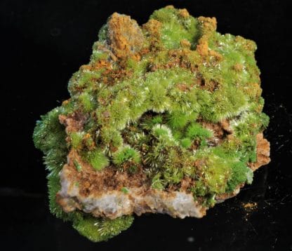 Pyromorphite aciculaire, Saint-Salvy, Tarn.