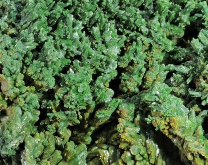 Pyromorphite, Les Farges, Ussel, Corrèze.