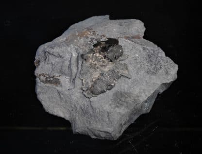 Native silver, Eisleben, Saxony, Germany. - Image 2