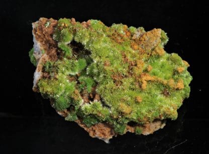 Pyromorphite aciculaire, Saint-Salvy, Tarn.