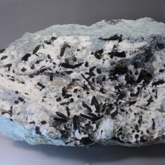 Neptunite, San Benito Co, Californie, USA.