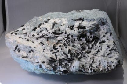 Neptunite, San Benito Co, Californie, USA.