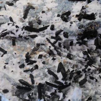 Neptunite, San Benito Co, Californie, USA.