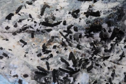 Neptunite, San Benito Co, Californie, USA.