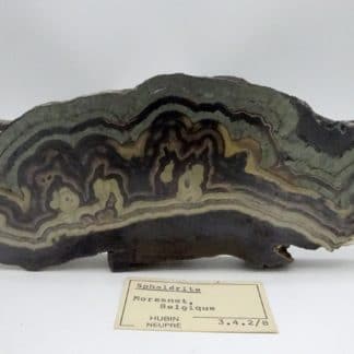 Schalenblende, Lontzen, Moresnet, Belgique.