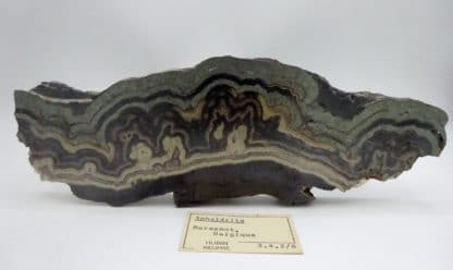 Schalenblende, Lontzen, Moresnet, Belgique.