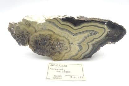 Schalenblende, mine de Lontzen, Moresnet, Belgique.