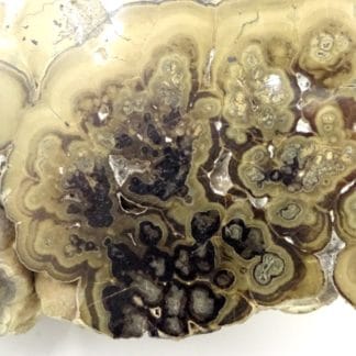 Schalenblende, mine de Lontzen, Moresnet, Belgique.