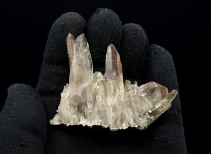 Quartz et chlorite, carrière de Bierghes, Brabant-Wallon, Belgique.