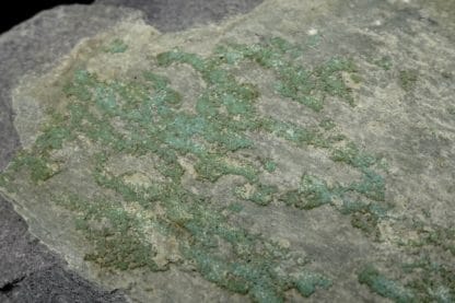 Turquoise, Salmchâteau, Vielsalm, massif de Stavelot, Belgique.