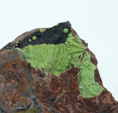 Eléonorite, Wavellite, Polk county, Arkansas, USA.