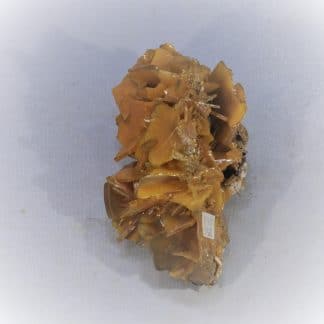 Wulfénite, Los Lamentos, Chihuahua, Mexique.