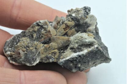 Chondrotite, Brewster, New-York, USA.