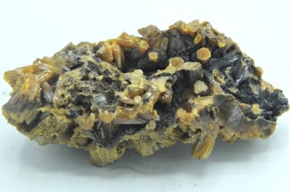 Pyromorphite brune, Les Farges, Ussel, Corrèze, Limousin.