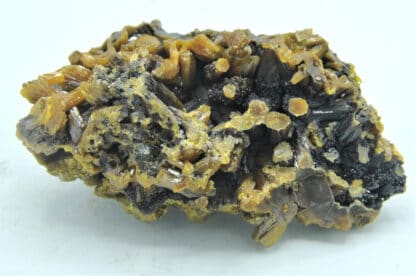 Pyromorphite brune, Les Farges, Ussel, Corrèze, Limousin.