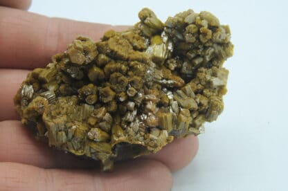 Pyromorphite brune, Les Farges, Ussel, Corrèze, Limousin.