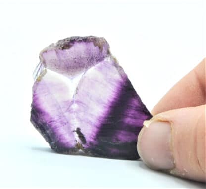 Fluorite avec « étoile Mercedes », Carrière de Boltry, Seilles, Belgique.