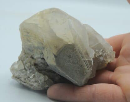 Calcite, Carrière de Lompret, Chimay, Belgique.