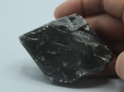 Cristal de baryte Noire et Pyrite, Carrière de Lompret, Belgique.
