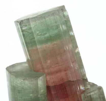 Tourmaline, Himalaya mine, San Diego, Californie, USA.