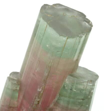 Tourmaline, Himalaya mine, San Diego, Californie, USA.