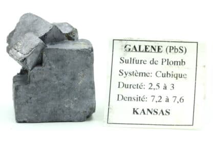 Galène, Baxter Springs, Picher Field, Cherokee Co., Kansas, USA.