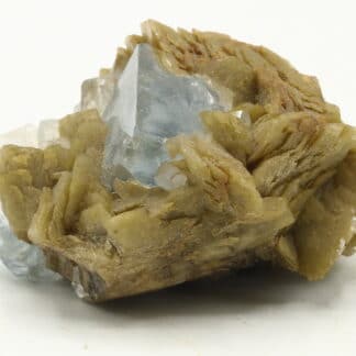 Fluorite et sidérite de Peyrebrune (Tarn)