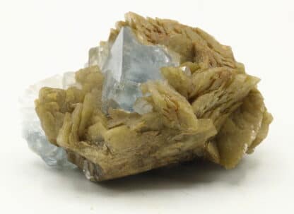 Fluorite et sidérite de Peyrebrune (Tarn)