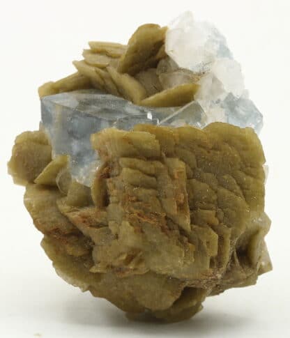 Fluorite et sidérite de Peyrebrune (Tarn)