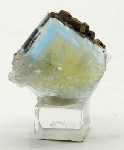 Fluorite jaune et bleue de la mine du Burc (au Burg - Tarn)