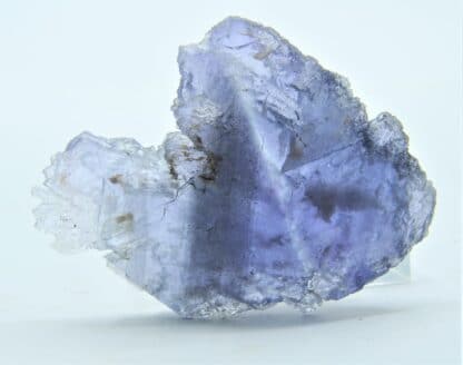 Fluorite (Fluorine) bleutée, carrière du Boltry, Seilles, Belgique.