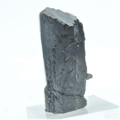 Blende (Sphalérite) maclée et Pyrite, Dalnegorsk, Sibérie, Russie.