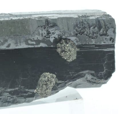 Blende (Sphalérite) maclée et Pyrite, Dalnegorsk, Sibérie, Russie.